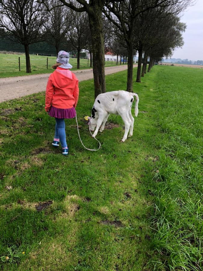 De Graanzolder * Hoofdplaat
